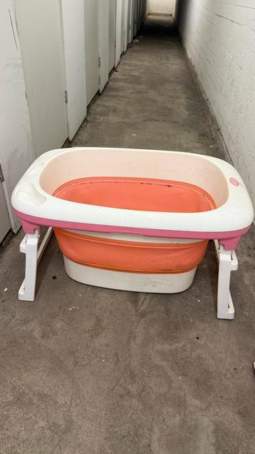 Baby Roze Badje beschikbaar voor biedingen