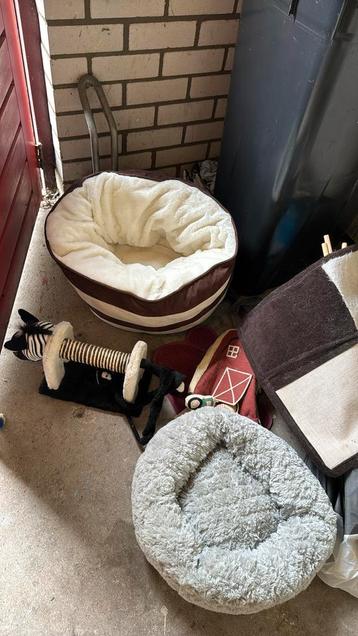 Gratis Diverse Kattenspullen beschikbaar voor biedingen