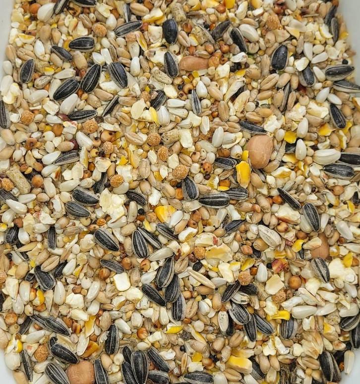 Luxe Striooivoer, Dieren en Toebehoren, Vogels | Toebehoren, Nieuw, Eten en Drinken, Ophalen of Verzenden