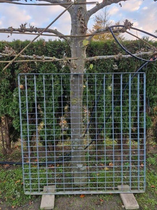 Gegalvaniseerde looprooster, Doe-het-zelf en Verbouw, Metalen, Gebruikt, Ophalen