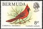 BERMUDA 11 - Dieren: vogels (rode kardinaal), Ophalen of Verzenden, Postfris