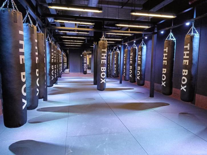 bokszak ophangsysteem, Sport en Fitness, Vechtsporten en Zelfverdediging, Nieuw, Overige, Ophalen