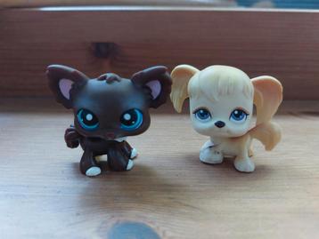 Littlest pet shop honden hond chihuahua  beschikbaar voor biedingen