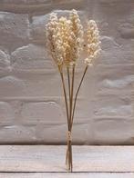 Kunstbloemen ivoor, Verzenden, Nieuw, Binnen