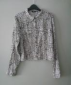NIEUW! Coolcat dames cropped blouse luipaard leopard maat XL, Overige kleuren, Maat 46/48 (XL) of groter, Nieuw, Ophalen of Verzenden
