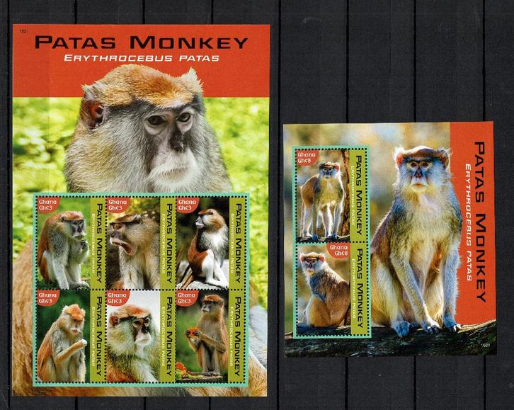 ghana 2016 2 pf blokken huzaaraap apen wildlife zoogdieren, Postzegels en Munten, Postzegels | Thematische zegels, Postfris, Dier of Natuur
