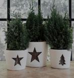 Riviera maison   winter rattan star  bloempotten, Ophalen of Verzenden, Zo goed als nieuw