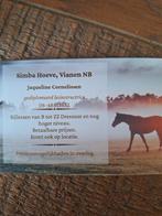 Les instructrice heeft enkele plaatsen vrij, Diensten en Vakmensen, Dieren | Paarden | Verzorging, Oppas en Les, Paardrijles of Ponykampen