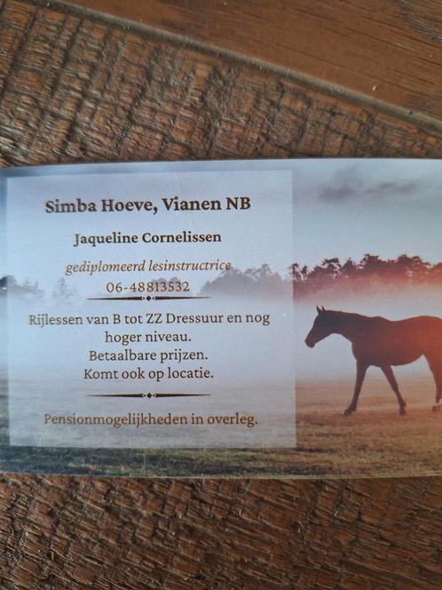Les instructrice heeft enkele plaatsen vrij, Diensten en Vakmensen, Dieren | Paarden | Verzorging, Oppas en Les, Paardrijles of Ponykampen