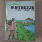 Keteltje in het veerhuis cor bruijn, Boeken, Ophalen of Verzenden, Cor bruijn
