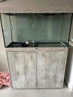 Aquarium met onderkast 200 liter inclusief pomp, verlichting, Zo goed als nieuw, Ophalen, Leeg aquarium