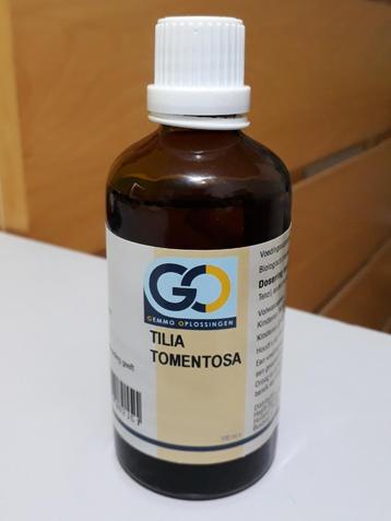 GO Tilia Tomentosa beschikbaar voor biedingen
