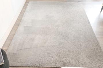 Lichtgrijs vloerkleed 160x230 cm KARWEI – Zacht & stijlvol beschikbaar voor biedingen