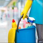 Gezocht: Betrouwbare schoonmaakster / interieurverzorgster, Overige niveaus, Overige vormen