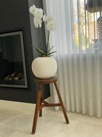 Houten krukje (oud / antiek), Huis en Inrichting, Krukjes, Ophalen, Gebruikt, Hout