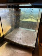 Aquarium 40x40 superfish, Ophalen of Verzenden, Leeg aquarium