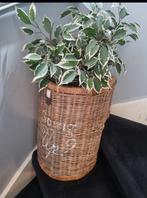 Riviera Maison Trapmand Rustic Rattan, Huis en Inrichting, Ophalen, Zo goed als nieuw, Rond, Overige materialen