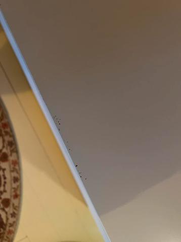 IKEA Malm ladekast (L160xH78xB48) in goede staat - afbeelding 2