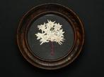 Origineel oud lijstje met echte  Edelweiss Alpenbloemen, Ophalen of Verzenden
