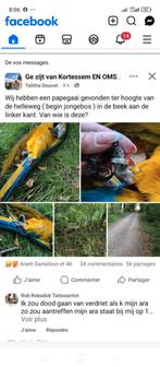 Dood gevonden in Duitsland. Bel met het nummer in NL. Gewoon, Dieren en Toebehoren