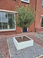 4x Witte stalen bloembakken / plantenbakken, Ophalen, Gebruikt, 100 cm of meer, Vierkant