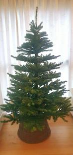 Kerstboom, Ophalen, Gebruikt