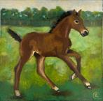 Paard veulen Romantico, Antiek en Kunst, Kunst | Schilderijen | Modern, Ophalen of Verzenden