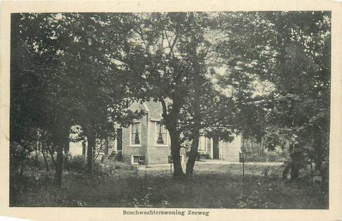 (388-527-029) Boschwachterswoning Zeeweg, Verzamelen, Ansichtkaarten | Nederland, Noord-Holland, Verzenden