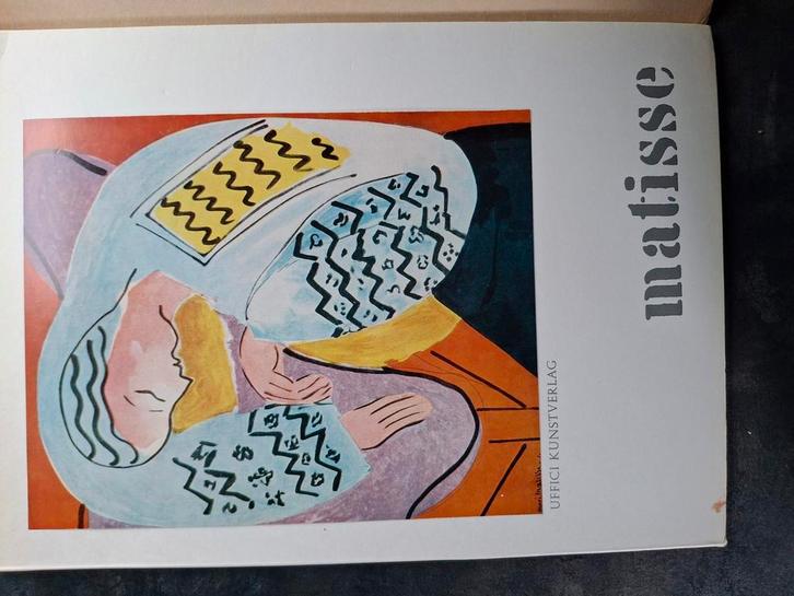 Matisse Bruno F. Schneider Uffici Kunstverlag New York Paris, Boeken, Kunst en Cultuur | Beeldend, Gelezen, Schilder- en Tekenkunst