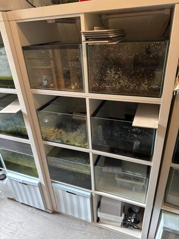 Kallax aquarium met kast en verlichting beschikbaar voor biedingen