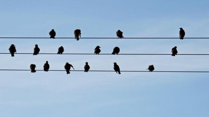 Duitse taalessen op maat, Diensten en Vakmensen, Bijles, Privé-les en Taalles, Bijles, Examen- of Scriptiebegeleiding, Huiswerkbegeleiding