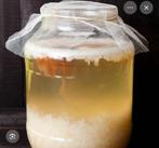 Waterkefir voor de liefhebber., Ophalen of Verzenden, Nieuw, Overige typen