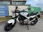 Suzuki SFV 650 Gladius ABS + ECU voor rijbewijs A, Motoren, Motoren | Suzuki, 2 cilinders, Particulier, Minimaal motorrijbewijs A2