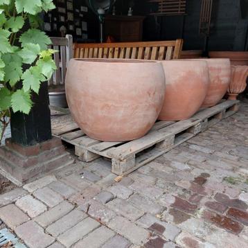 terracotta pot XL rond (ei-vorm) beschikbaar voor biedingen