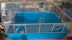 Hamsterkooien  reisbox voer  en accessoires, Dieren en Toebehoren, Kooi, Gebruikt, Minder dan 75 cm, Hamster