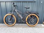 Radpowerbike RadRhino fatbike, Fietsen en Brommers, Elektrische fietsen, Ophalen, Gebruikt, 50 km per accu of meer, Overige merken