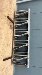 Spinder Voerhekken, Dieren en Toebehoren, Januari, Mannelijk