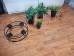 Diverse planten en kandelaar set, Huis en Inrichting, Kamerplanten, Overige soorten, In pot, Minder dan 100 cm, Groene kamerplant