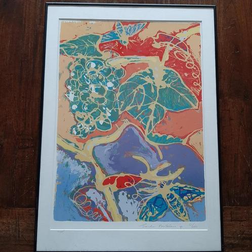 🎨Genummerde lithografie in lijst - Emeke Buitelaar🏷️€77,-, Antiek en Kunst, Kunst | Litho's en Zeefdrukken, Ophalen of Verzenden