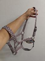 20x halster maat Cob PARTIJ, Dieren en Toebehoren, Eu, Ophalen of Verzenden, Eu, Nieuw