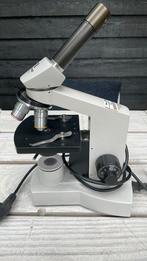 Euromex (Holland) microscoop, Audio, Tv en Foto, Optische apparatuur | Microscopen, Ophalen, Gebruikt, Biologische microscoop