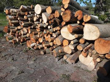 Brandhout, kachelhout, openhaardhout  beschikbaar voor biedingen
