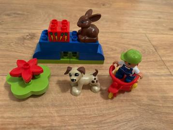 Lego duplo kind met fiets en hond en konijn speelset! beschikbaar voor biedingen