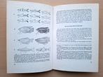 Boek Het kweken van aquariumvissen – W.Wickler, Dieren en Toebehoren, Verzenden, Zo goed als nieuw, Overige typen