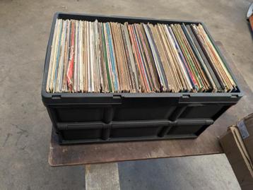 175 Lp Nederlandstalige Muziek Top 40 beschikbaar voor biedingen