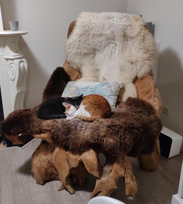 Unieke tropisch hardhouten decoratie stoel, Huis en Inrichting, Stoelen, Gebruikt, Eén, Hout, Bruin, Ophalen