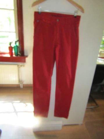 F1069 Company Cotton Club mt S chino broek rood  beschikbaar voor biedingen