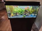 Jewel aquarium 80 cm met buitenfilter EX 600 plus, Ophalen, Gebruikt, Leeg aquarium