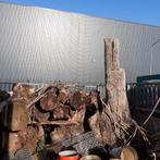 haardhout eiken, Tuin en Terras, Haardhout, 6 m³ of meer, Ophalen, Eikenhout, Stammen