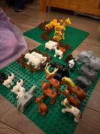 Heel veel leuke Duplo dieren+hekjes + 2 grote bouwplaten, Ophalen, Zo goed als nieuw, Duplo